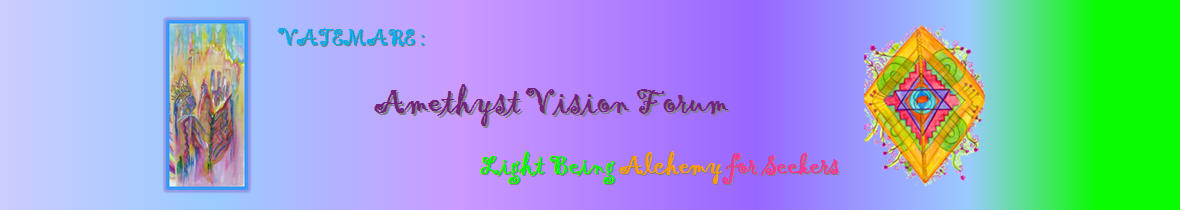 vav_logo_header